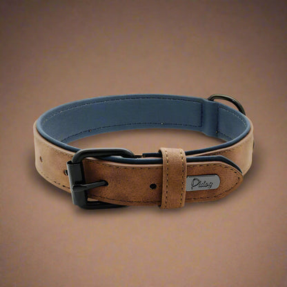 Dog Collar - Leather Soft Padded - 2Tails