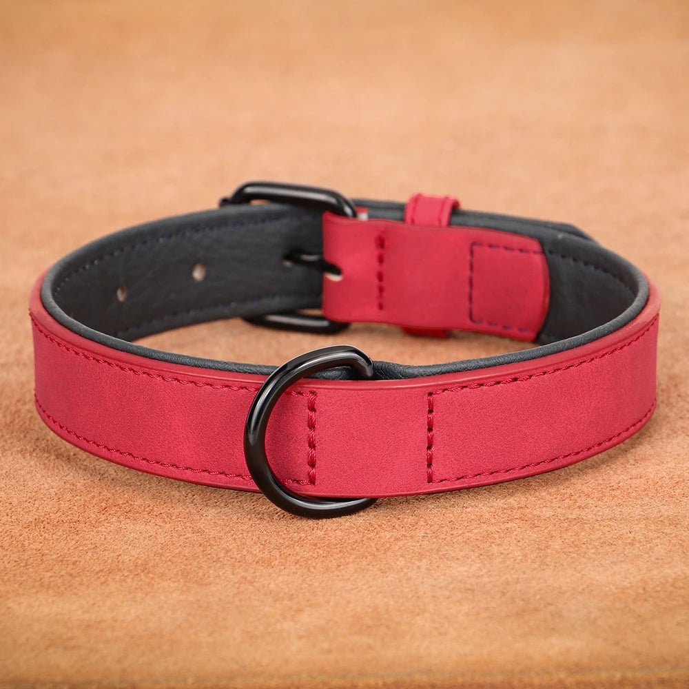 Dog Collar - Leather Soft Padded - 2Tails