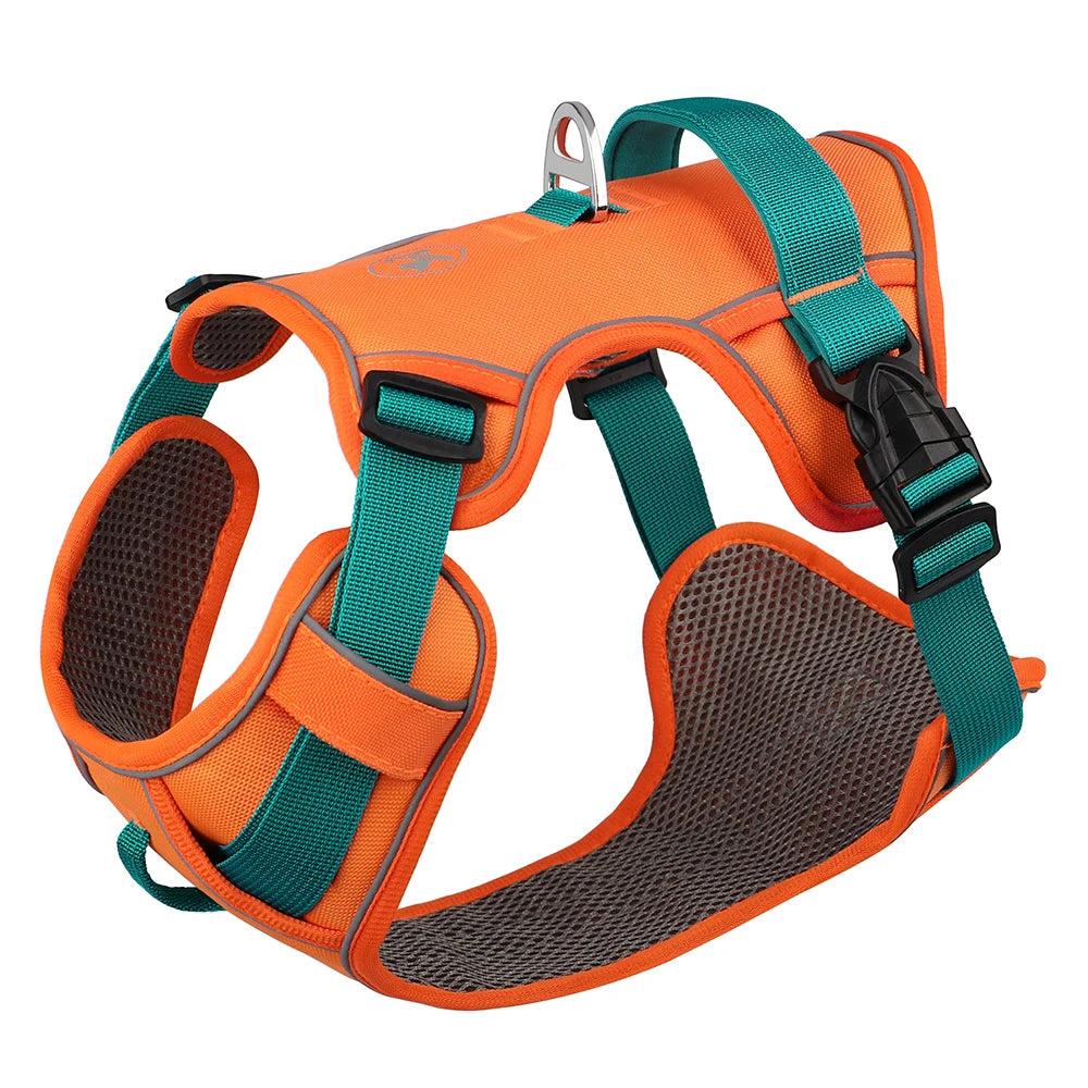 Harness - Training Vest - 2Tails