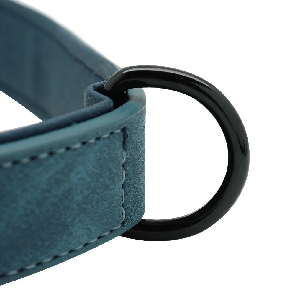 Dog Collar - Personalised - 2Tails
