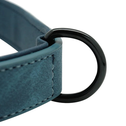 Dog Collar - Personalised - 2Tails
