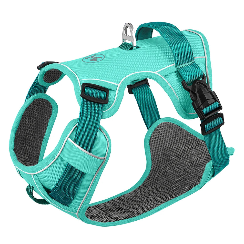 Harness - Training Vest - 2Tails