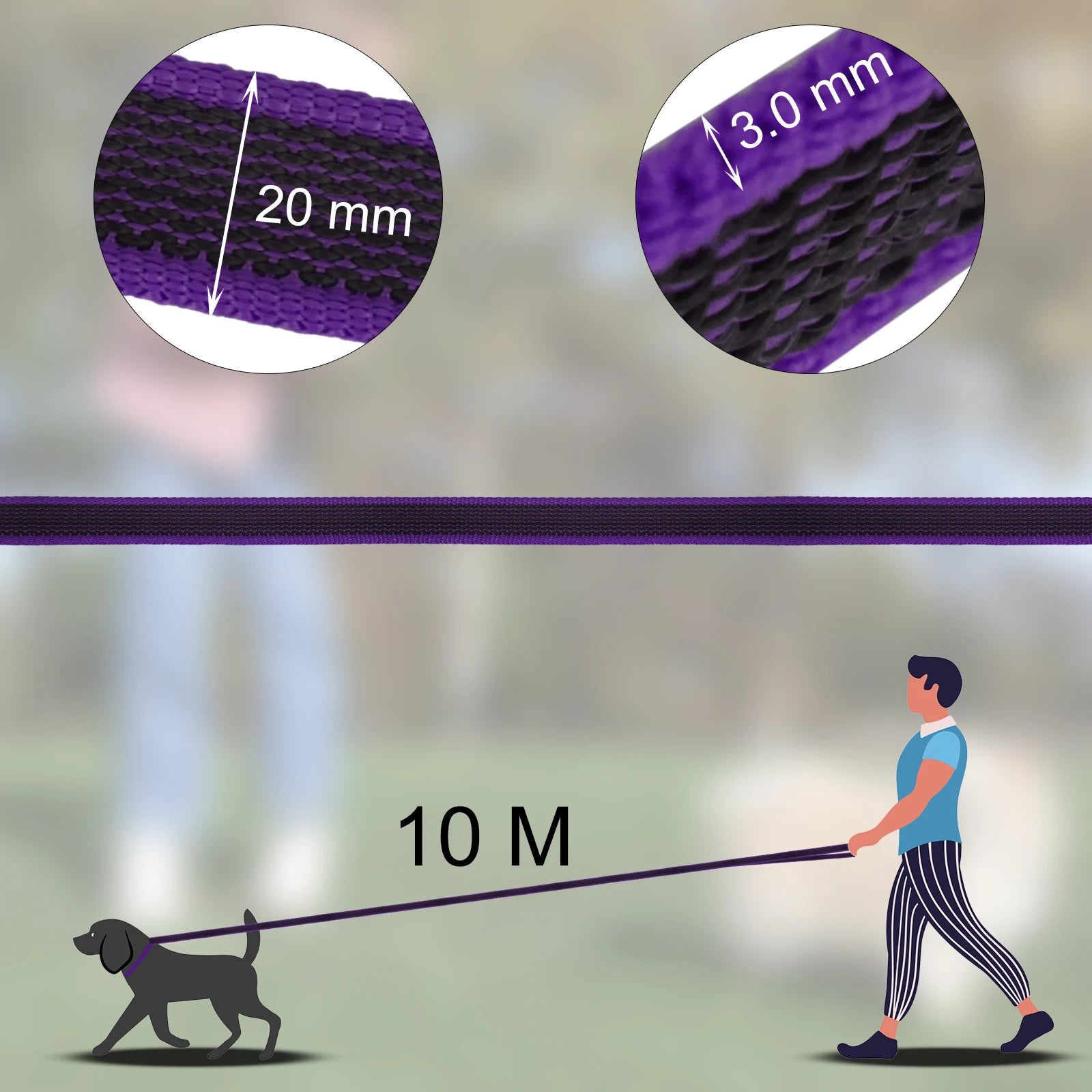 Training - Recall Lead - 2Tails