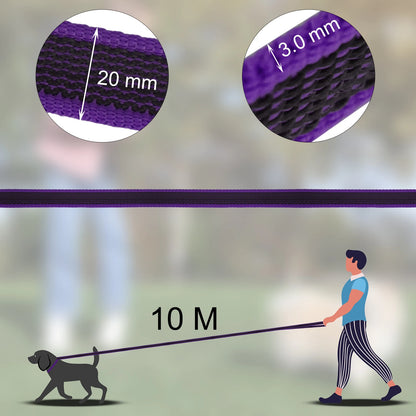 Training - Recall Lead - 2Tails
