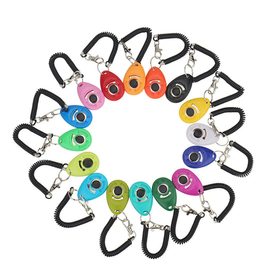 Training - Clicker - 2Tails