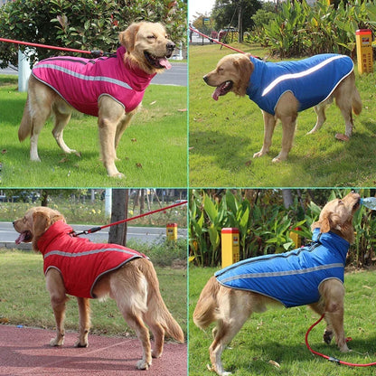 winter-jacket-for-dogs