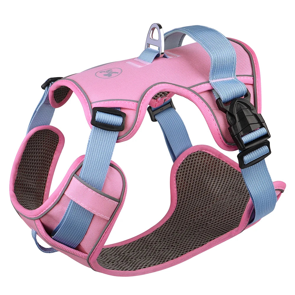 Harness - Training Vest - 2Tails