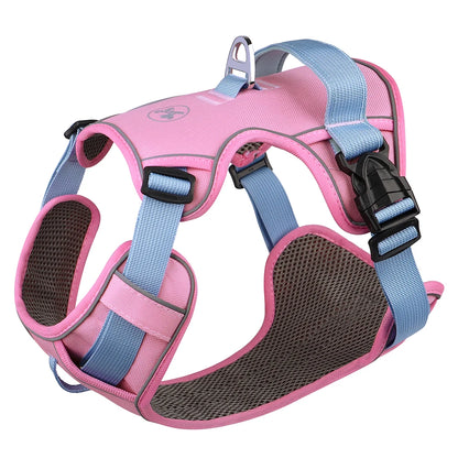 Harness - Training Vest - 2Tails