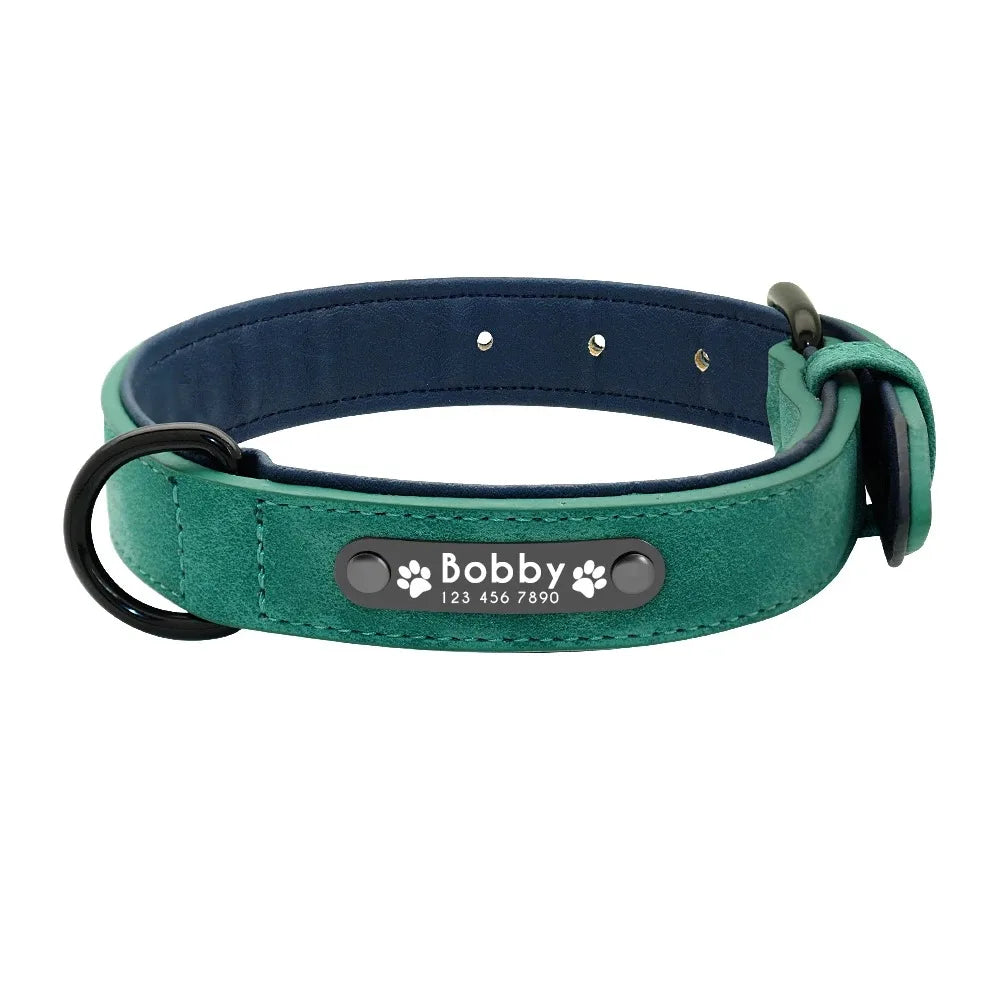 Dog Collar - Personalised - 2Tails