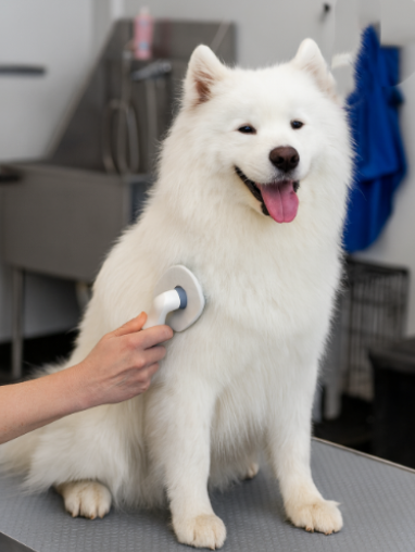 Grooming - Self-Cleaning Brush