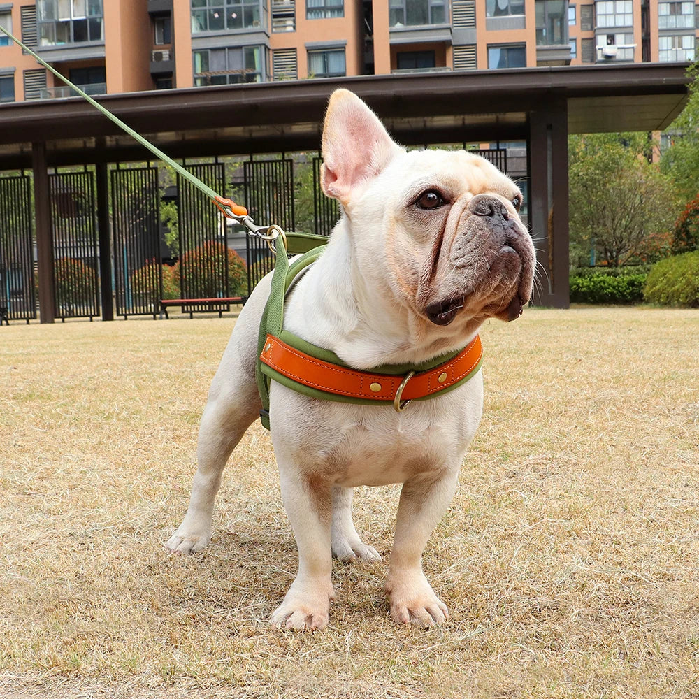 Harness - Soft Padded - 2Tails
