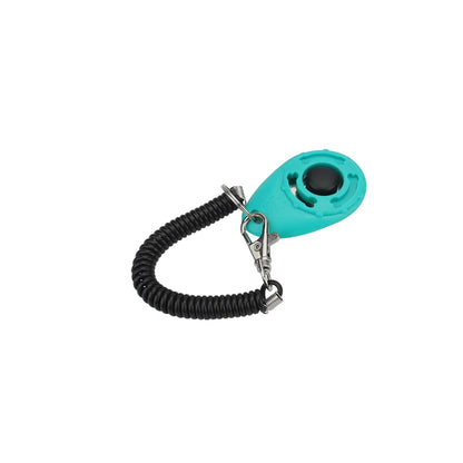 Training - Clicker - 2Tails
