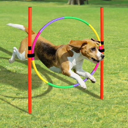Training - Agility Equipment - 2Tails