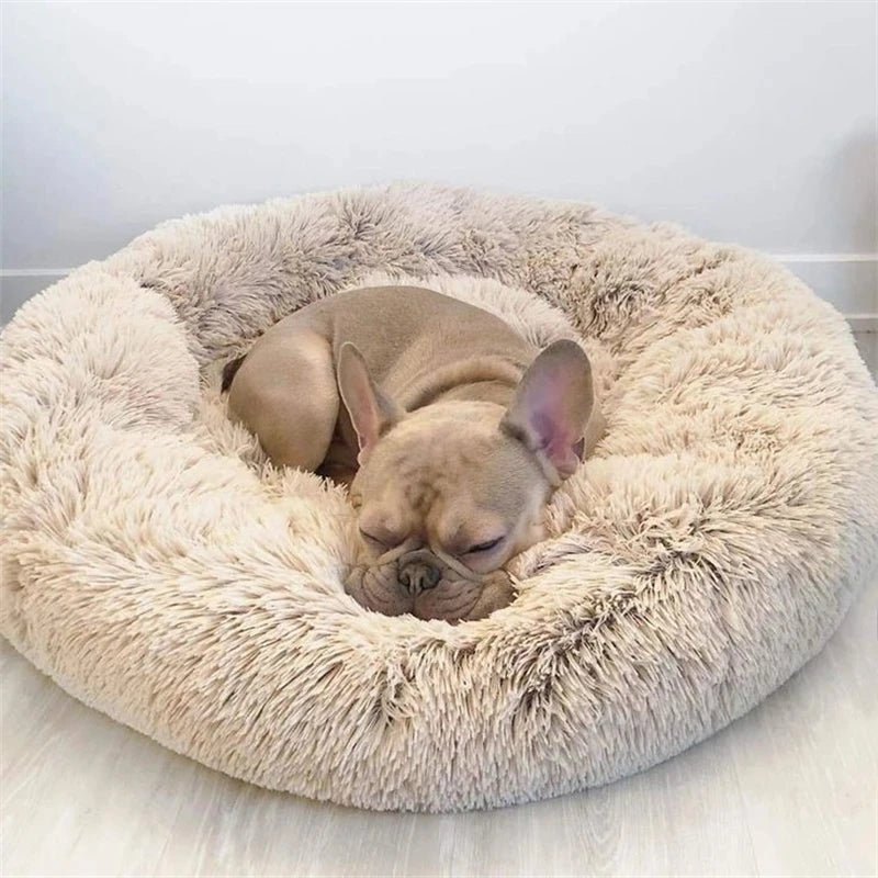 donut-dog-bed