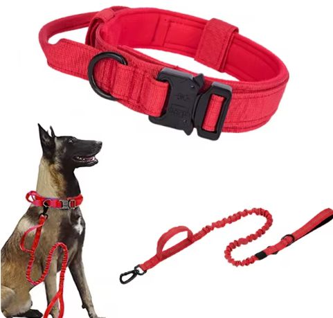 double-handle-heavy-duty-lead-and-collar